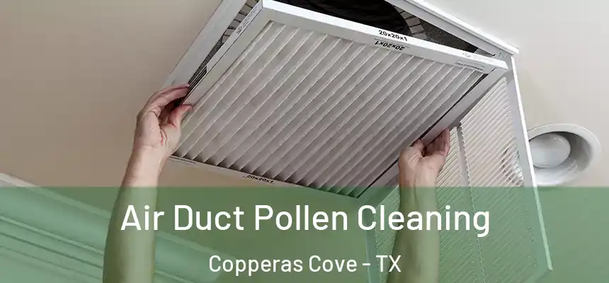  Air Duct Pollen Cleaning Copperas Cove - TX