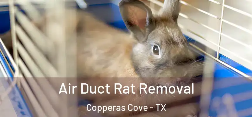  Air Duct Rat Removal Copperas Cove - TX
