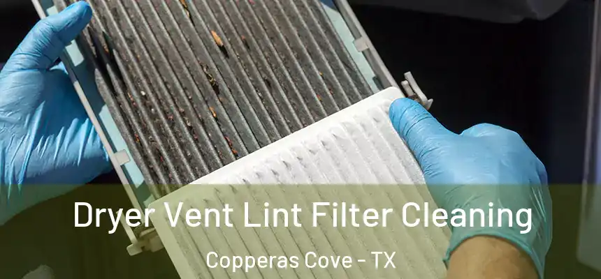  Dryer Vent Lint Filter Cleaning Copperas Cove - TX