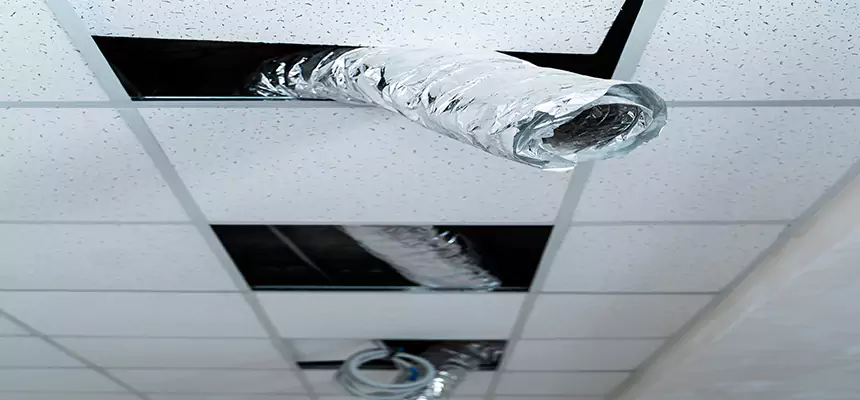 Our Air Duct Pet Hair Removal Services in Copperas Cove, TX