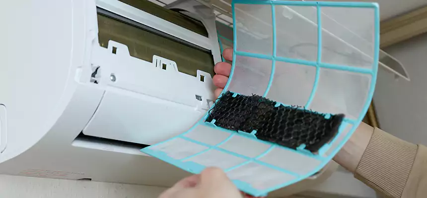 Gentle Ductwork Odor-Control Pet Dander Duct Cleaning in Copperas Cove, TX