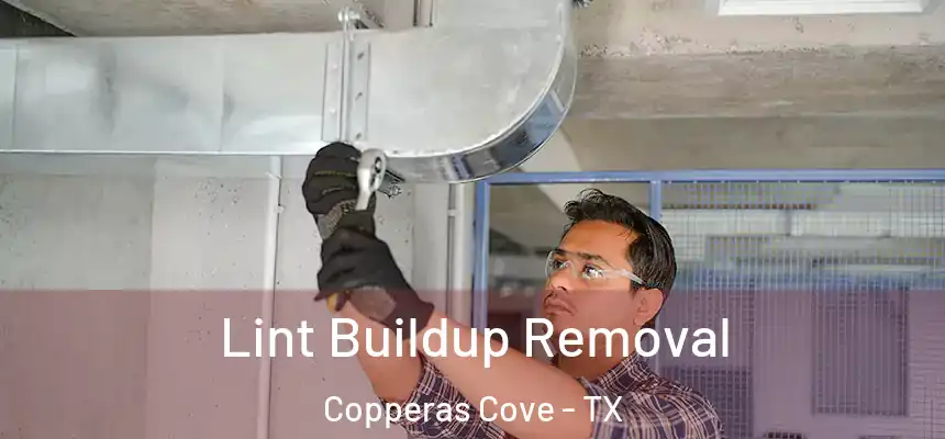  Lint Buildup Removal Copperas Cove - TX