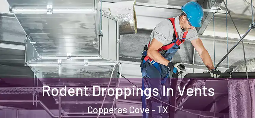  Rodent Droppings In Vents Copperas Cove - TX
