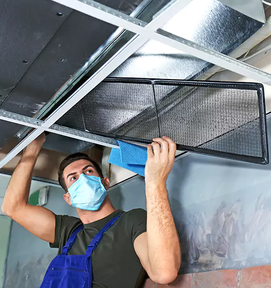 About Air Duct Bacteria Removal in Copperas Cove