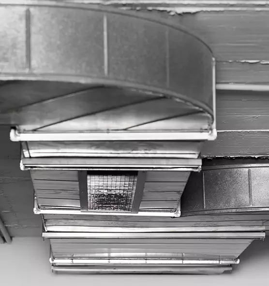 Professional Air Duct Pest Removal in Copperas Cove, TX