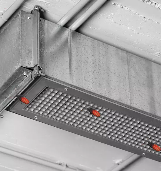 Affordable Insect Removal from Air Ducts in Copperas Cove, TX