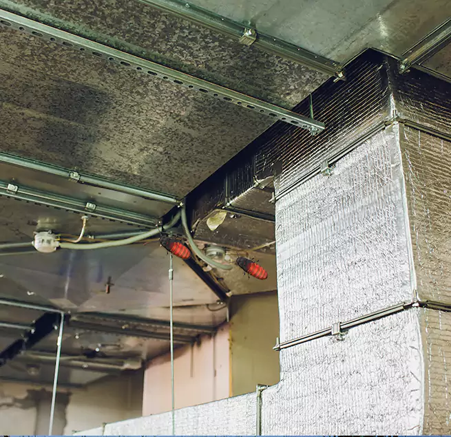 Why Homeowners & Businesses Trust Us in Copperas Cove, TX?