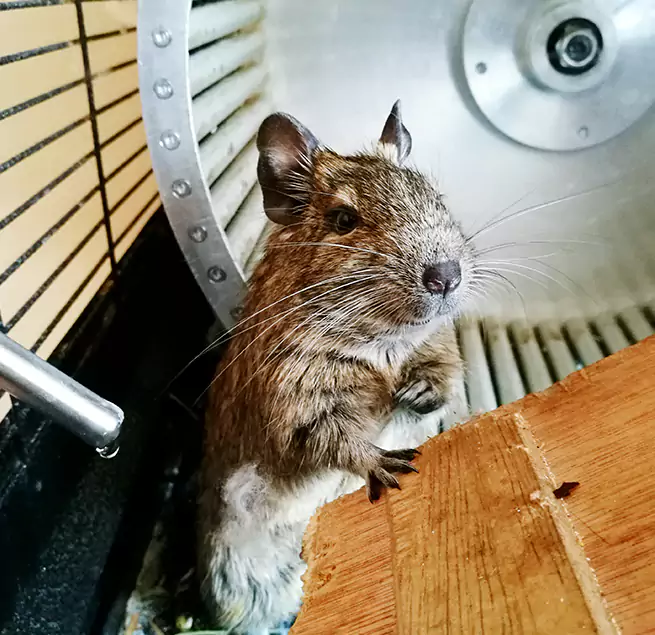 Why Homeowners & Businesses Trust Us Copperas Cove, TX