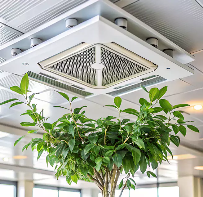 Why Homeowners & Businesses Trust Us in Copperas Cove, TX?